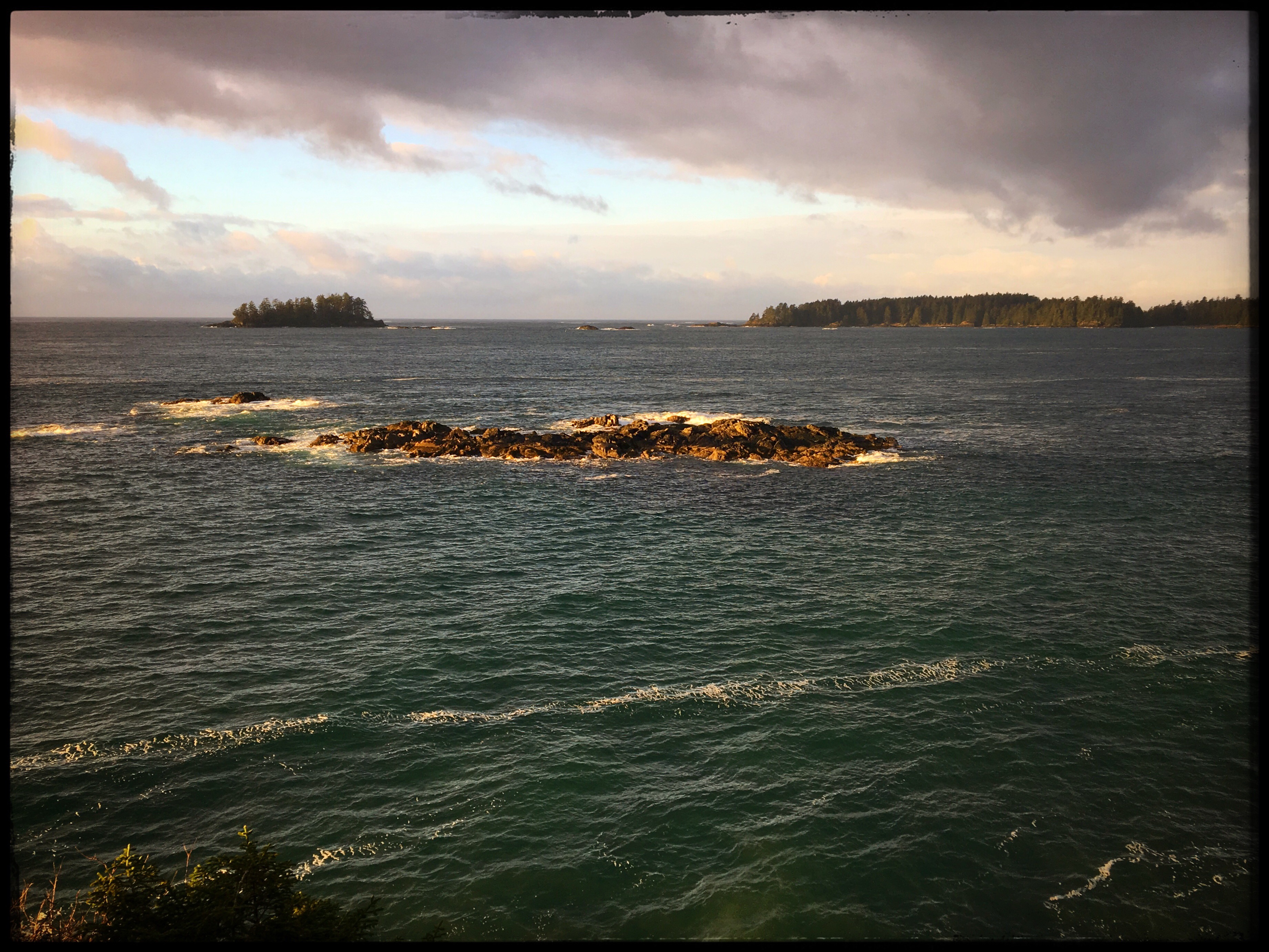 TOFINO DAY FOUR